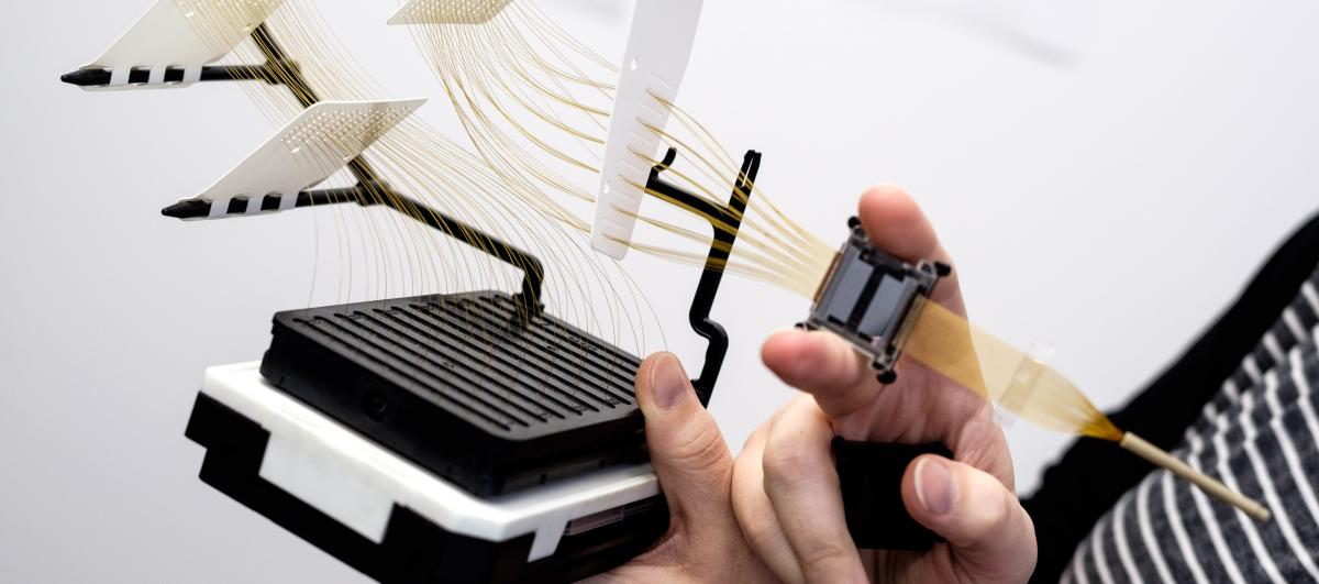 Capillary array of a DNA sequencer