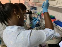 DNA sequencing at an ETH-I workshop